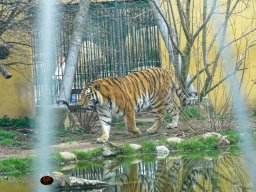 Tiergarten Schönbrunn am 12.03.2025